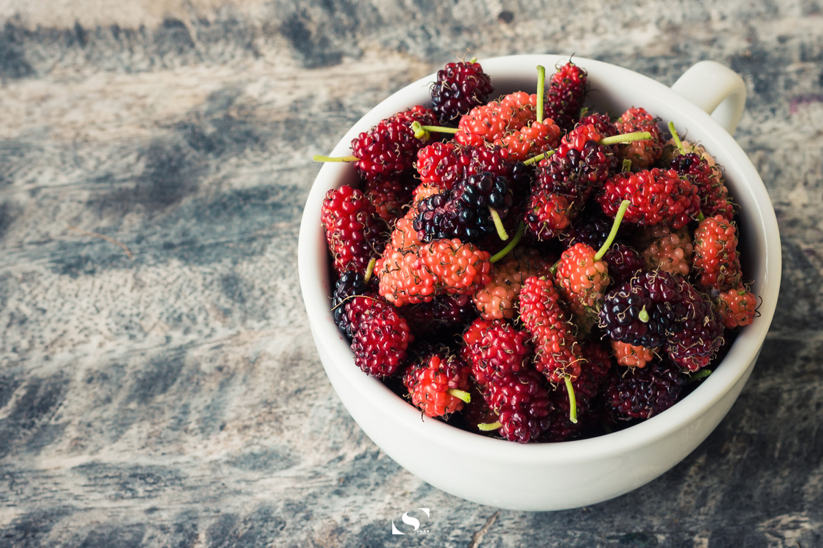 Food Photography - Mulberry 06